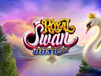 Royal Swan Quad Shot