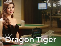 CGY Dragon Tiger N20