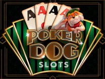 Poker Dogs