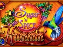 Sugar N Spice Hummin