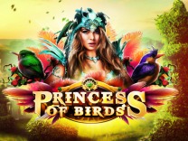 Princess of Birds