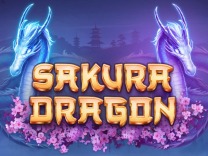 Sakura Dragon