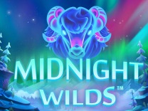 Midnight Wild