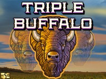 Triple Buffalo