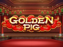 Golden Pig